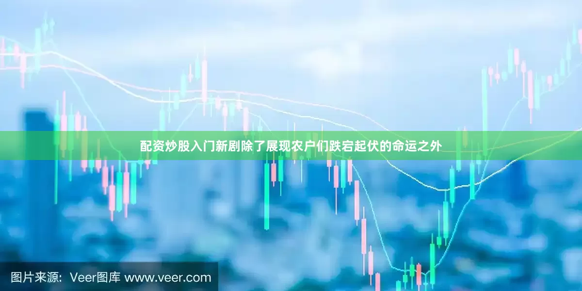 配资炒股入门新剧除了展现农户们跌宕起伏的命运之外