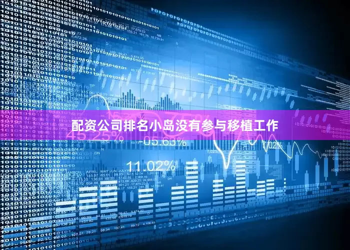 配资公司排名小岛没有参与移植工作
